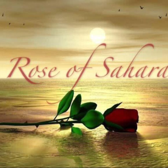 rosedesahara